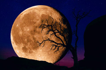 Bella Luna 1.5M Huge! Beautiful! Panorama - Peter Lik Bella Luna 1.5M Huge! Beautiful! Panorama - Peter Lik