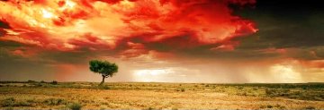 Dreamland Panorama - Peter Lik Dreamland Panorama - Peter Lik