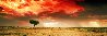 Dreamland 1.5M - Huge - Innamincka, Australia - Recess Mount Panorama by Peter Lik - 0