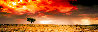 Dreamland 1.5M - Huge - Innamincka, Australia - Recess Mount Panorama by Peter Lik - 1