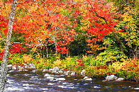 A Quiet Moment Huge Panorama by Peter Lik - 0
