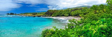 Hawaiian Dream Epic size Panorama - Peter Lik Hawaiian Dream Epic size Panorama - Peter Lik