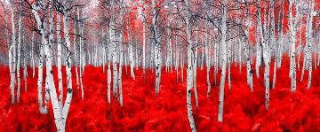 Scarlet Moods Panorama - Peter Lik Scarlet Moods Panorama - Peter Lik
