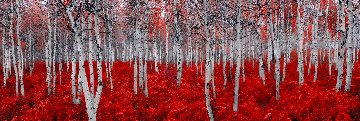 Rouge Panorama - Peter Lik Rouge Panorama - Peter Lik