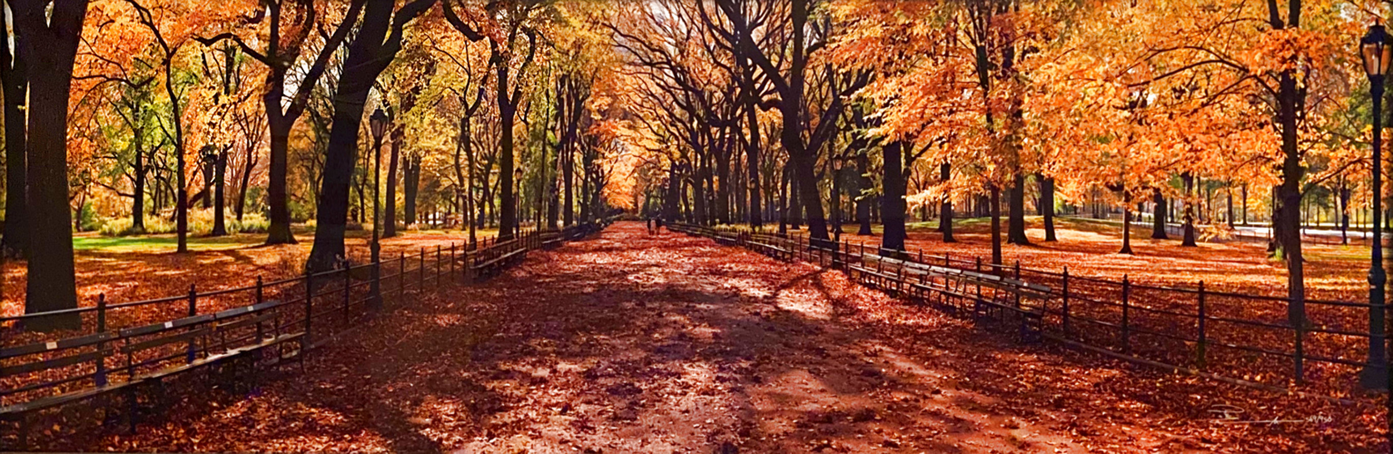 Peter Lik, photograph print, Central Park by Peter Lik