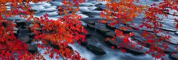 Silent Reflection 2M Super Huge Panorama - Peter Lik Silent Reflection 2M Super Huge Panorama - Peter Lik