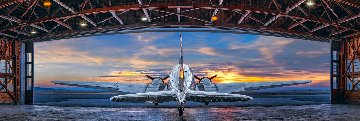 First Flight 1.5M Huge Panorama - Peter Lik First Flight 1.5M Huge Panorama - Peter Lik