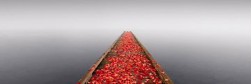 Secret Morning 1.5M Super Huge Panorama - Peter Lik Secret Morning 1.5M Super Huge Panorama - Peter Lik