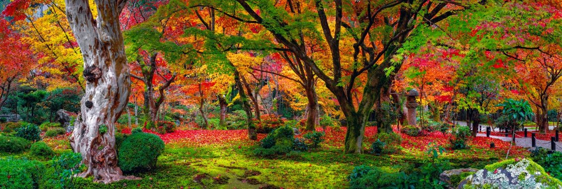 Autumn Jewel 1.5M - Huge - Kyoto, Japan Panorama by Peter Lik