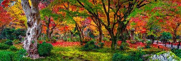 Autumn Jewel 1.5M Huge Panorama - Peter Lik Autumn Jewel 1.5M Huge Panorama - Peter Lik