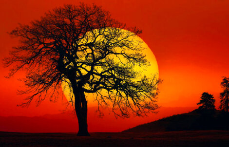 In Search of the Sun 1.5M - Huge  - Centerville, Washington Panorama - Peter Lik
