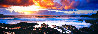 Genesis 1.5M Huge Panorama by Peter Lik - 0