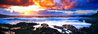 Genesis 1.5M Huge - Maui, Hawaii Panorama by Peter Lik - 0