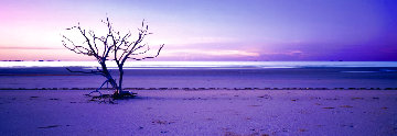 Solitude 1.5M Super Huge Panorama - Peter Lik Solitude 1.5M Super Huge Panorama - Peter Lik