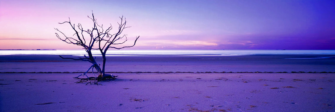 Solitude 1.5M - Huge - Cape York, Queensland Panorama by Peter Lik