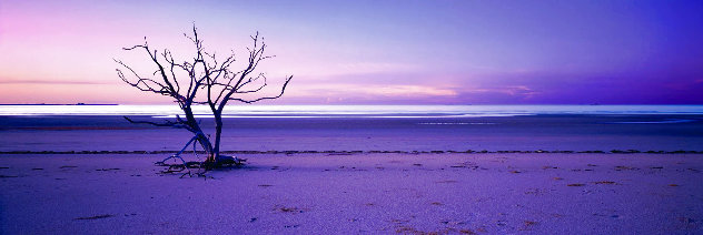 ピーターリック Peter Lik 『endless dreams』 beach pier, Peter Lik, Endless Dreams by Peter Lik - For Sale on