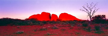 Ancient Earth 1.5M Super Huge Panorama - Peter Lik Ancient Earth 1.5M Super Huge Panorama - Peter Lik