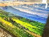 Bella Vista Huge Tuscany - Cigar Leaf Frame Panorama by Peter Lik - 8