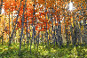 Autumn Splendor - Recess Mount - Crested Butte, Colorado Panorama by Peter Lik - 1