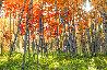 Autumn Splendor - 1M Recess Mount - Crested Butte, Colorado Panorama by Peter Lik - 0