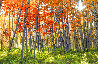 Autumn Splendor - Recess Mount - Crested Butte, Colorado Panorama by Peter Lik - 0