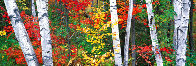 Woodland Mosaic Panorama by Peter Lik - 0