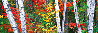 Woodland Mosaic - Cigar Leaf Frame Panorama by Peter Lik - 0