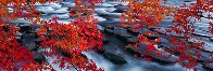 Silent Reflection 2M Huge Panorama by Peter Lik - 0