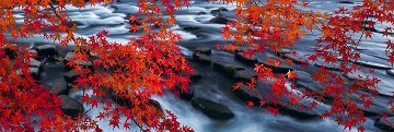Silent Reflection 2M Huge Unopened Panorama - Peter Lik Silent Reflection 2M Huge Unopened Panorama - Peter Lik