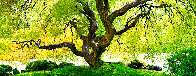 Tree of Serenity  2M Huge Panorama by Peter Lik - 0