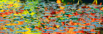 Autumn Impressions 2M Panorama - Peter Lik Autumn Impressions 2M Panorama - Peter Lik