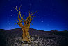 Starry Night 1M - Huge - White Mountains, California - Recess Mount Panorama by Peter Lik - 1