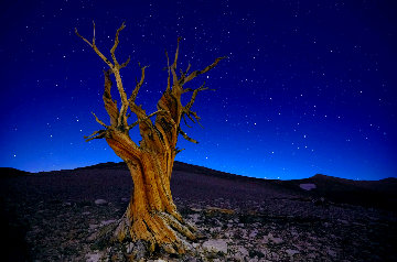 Starry Night Panorama - Peter Lik