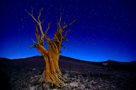 Starry Night 1M  - White Mountains, California - Recess Mount Panorama - Peter Lik