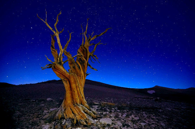 Starry Night 1M - Huge - White Mountains, California - Recess Mount Panorama by Peter Lik