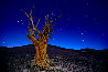 Starry Night 1M - Huge - White Mountains, California - Recess Mount Panorama by Peter Lik - 0