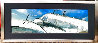 Spirit of the Skies 1.9M Huge Mural Size - Stainless Steel Frame Panorama by Peter Lik - 1