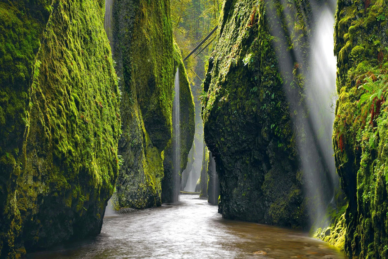Allure (Columbia River Gorge) - 1M - Huge Panorama by Peter Lik