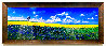 True Blue - 2M -  Huge - Cigar Leaf Mural Size Frame - 34x86 Panorama by Peter Lik - 1