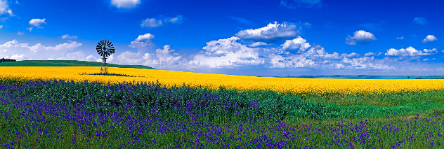 True Blue 2M -  Huge Mural Size - Burra, Australia - Cigar Leaf  Frame by Peter Lik