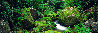 Mossy Boulders 1M  - Queensland, Australia Panorama by Peter Lik - 0
