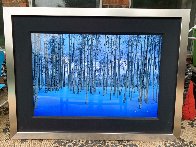 Moonlit Birches Panorama by Peter Lik - 1 Moonlit Birches Panorama by Peter Lik - 1