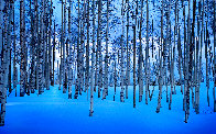 Moonlit Birches Panorama by Peter Lik - 0 Moonlit Birches Panorama by Peter Lik - 0