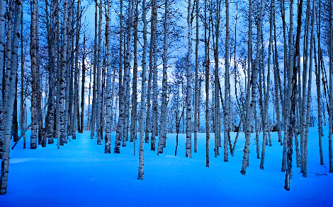 Moonlit Birches 1M  - Telluride, Colorado Panorama - Peter Lik