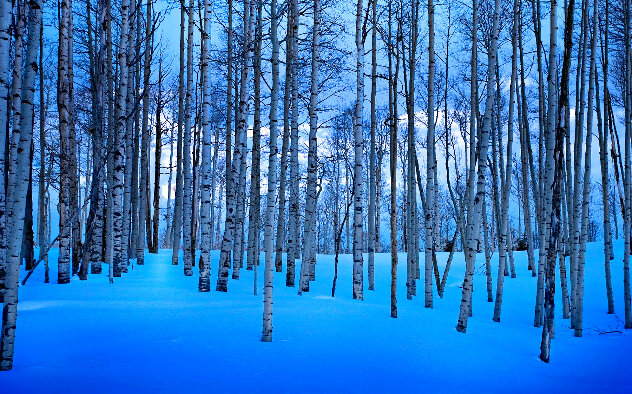 Moonlit Birches 1M  - Telluride, Colorado Panorama by Peter Lik