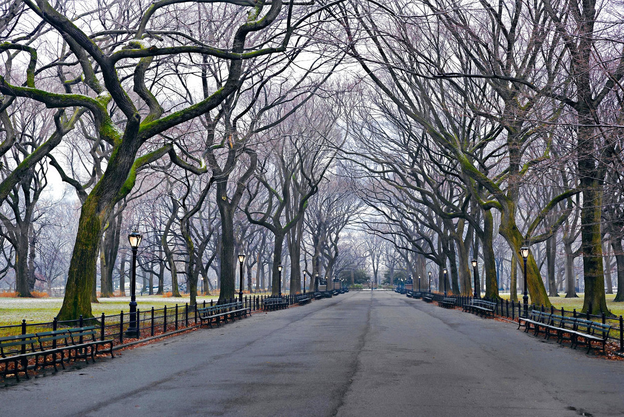 Sunday 5:47am 1.5M - Huge - New York - NYC - Central Park Panorama by Peter Lik