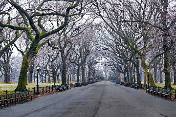 Sunday 5:47am 1.5M - Huge - New York - NYC - Central Park Panorama - Peter Lik