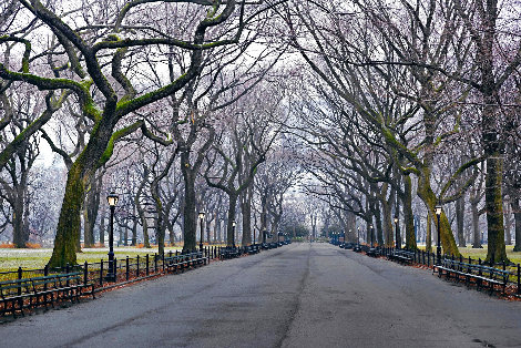 Sunday 5:47am 1M - Huge - New York - Central Park Panorama - Peter Lik