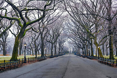 Sunday 5:47am 1M - New York - Central Park, NYC Panorama - Peter Lik