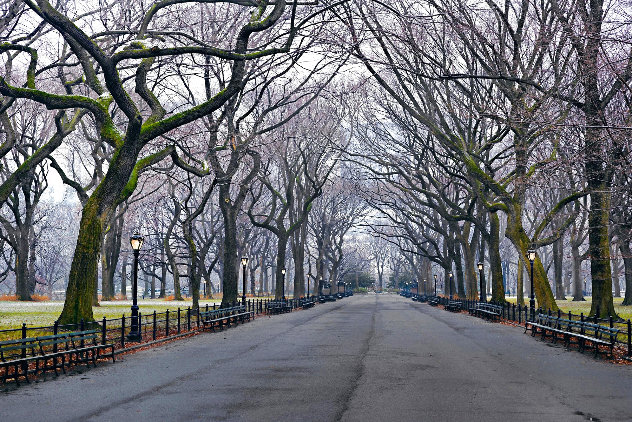 Sunday 5:47am 1M - Huge - New York - Central Park Panorama by Peter Lik